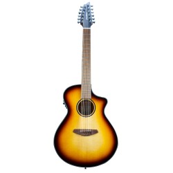 Breedlove Breedlove Discovery S Concert Edge 12c