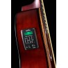 Walden Guitare Walden Orchestra O351ew